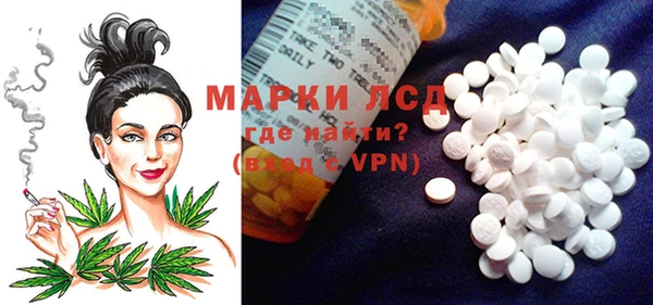 стафф Алексин