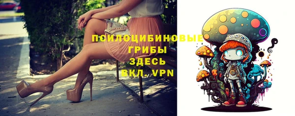 тгк Аркадак