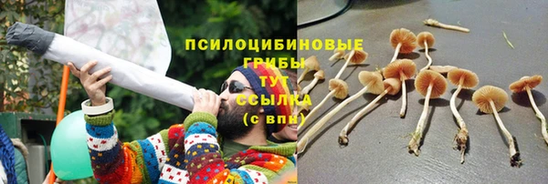 apvp Армянск