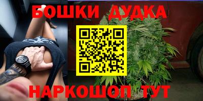 гидра Ливны