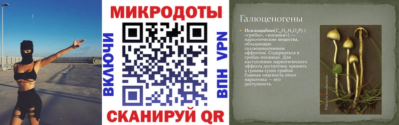 цены   Дмитров  Псилоцибиновые грибы GOLDEN TEACHER 
