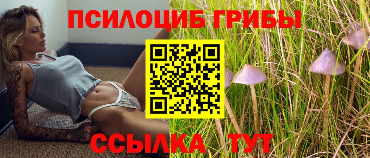 Галлюциногенные грибы мухоморы  Вход с VPN  Псилоцибиновые грибы GOLDEN TEACHER  Дмитров 
