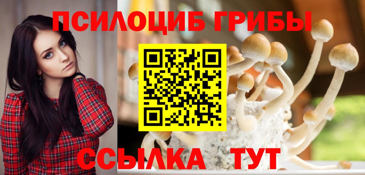 Псилоцибиновые грибы ЛСД Дмитров